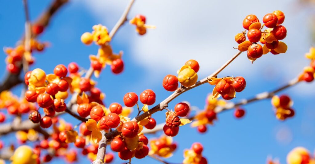 雨上がりの光の中に立つふたりのシルエット。孤独のそばには、いつもやさしさがある。