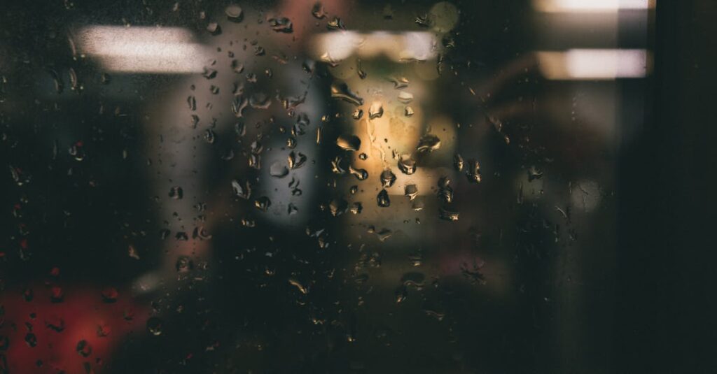 雨の東屋でふたりが静かに向き合う。言葉より先に、雨音が心を満たしていく。