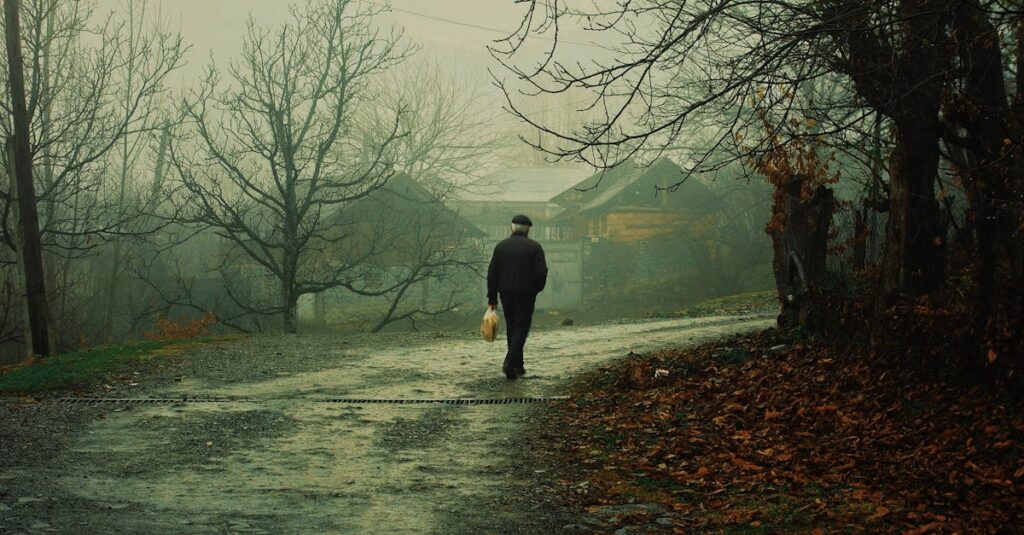 小さな灯りを手に静かな道を歩くひとり。《隠者》のカードが示すのは、孤独ではなく内なる探求。