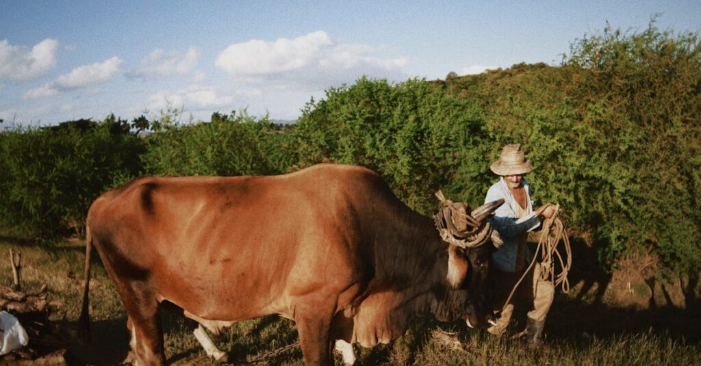 やわらかな光の中で土を耕す男性。静かな労働の中で、自分だけの速度で何かが育っていく。