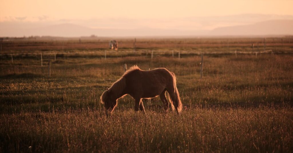 やわらかな光の中で静かに佇む戦士。本当の強さとは何か、その問いをトールズは背中で示していた。