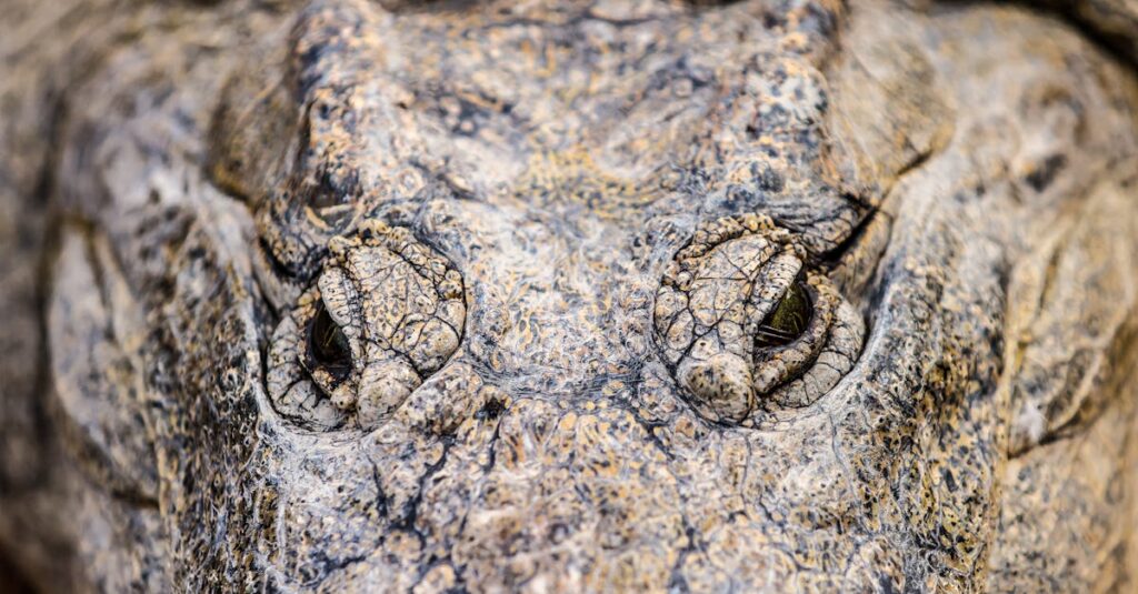 不安を抱えながらもまっすぐ進むシュタルク、凛としたまなざしと覚悟