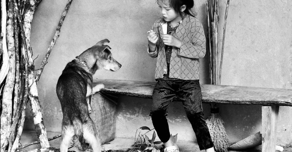 静かな瞳で感情に気づいていくフリーレン、微かな微笑みと切なさ