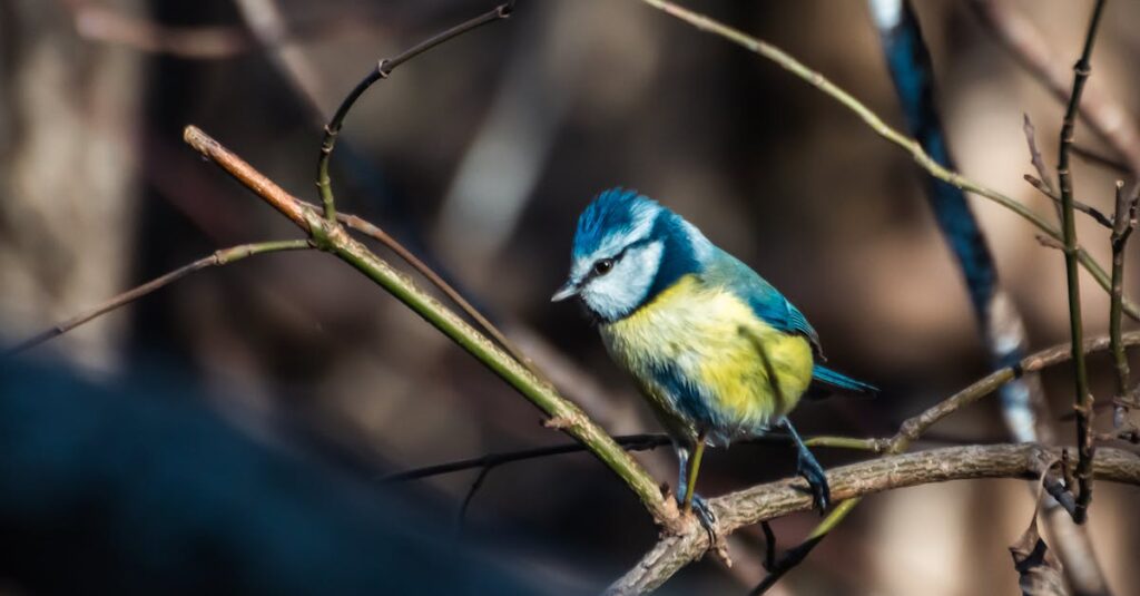 自分を優先しても周囲と調和しているアニメキャラクターのイメージ