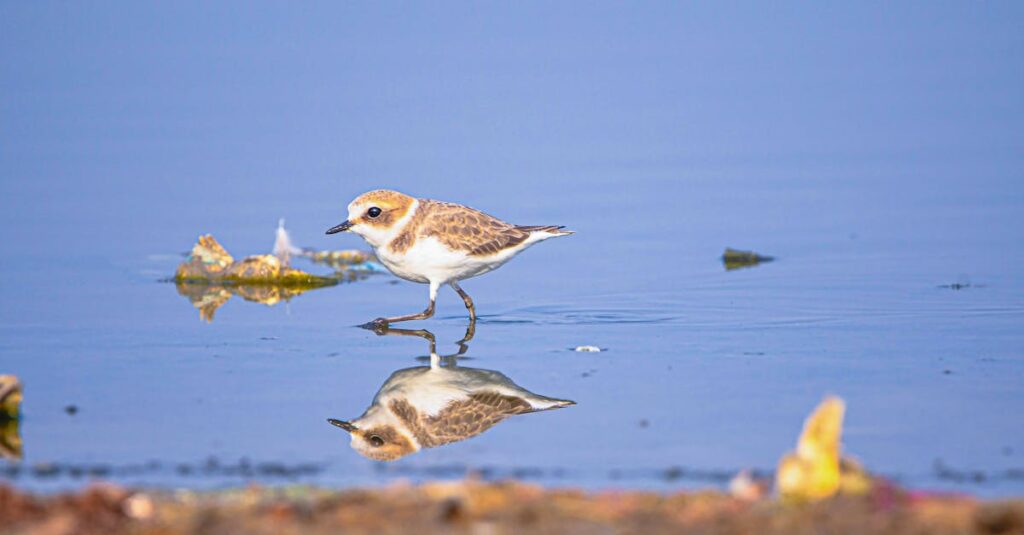 勇気を出して本音を話すアニメキャラクターのシーン