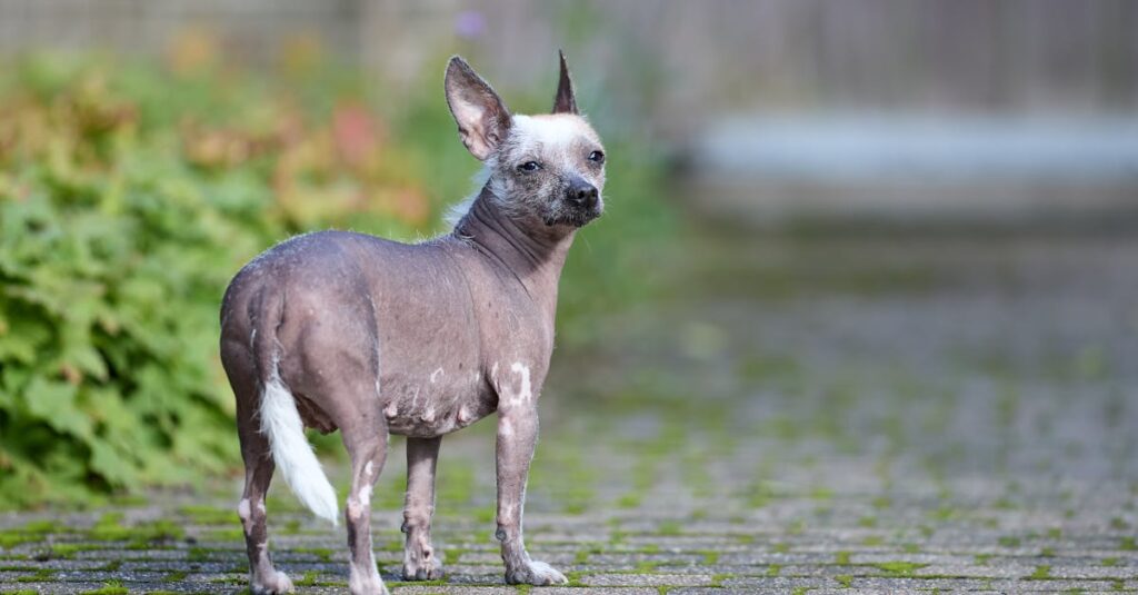 自分で道を選ぶ決意をしたアニメキャラクターの後ろ姿