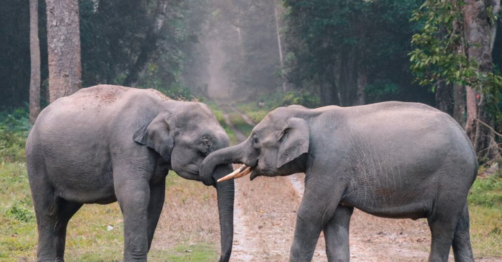 自分で道を選ぶ決意をしたアニメキャラクターの後ろ姿