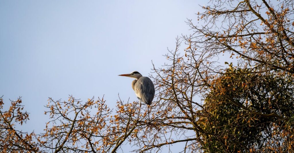 気持ちを伝えられず後悔するアニメキャラクターの涙
