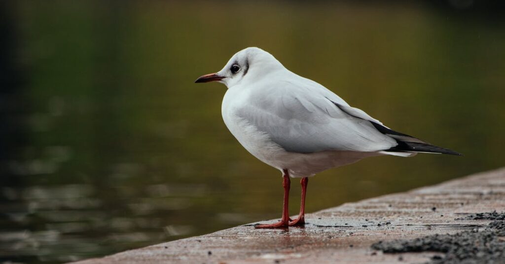 静かに見守る賢者のようなキャラクターが誰かを導くシーンのイメージ