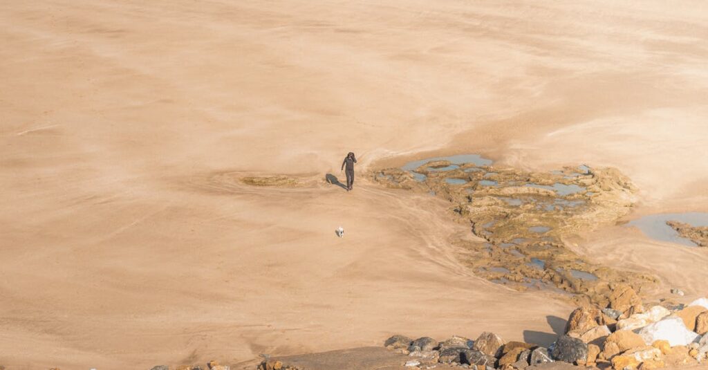 広い地平線に向かってひとり歩く人。あなたの速度でしかたどり着けない場所が、きっとある。