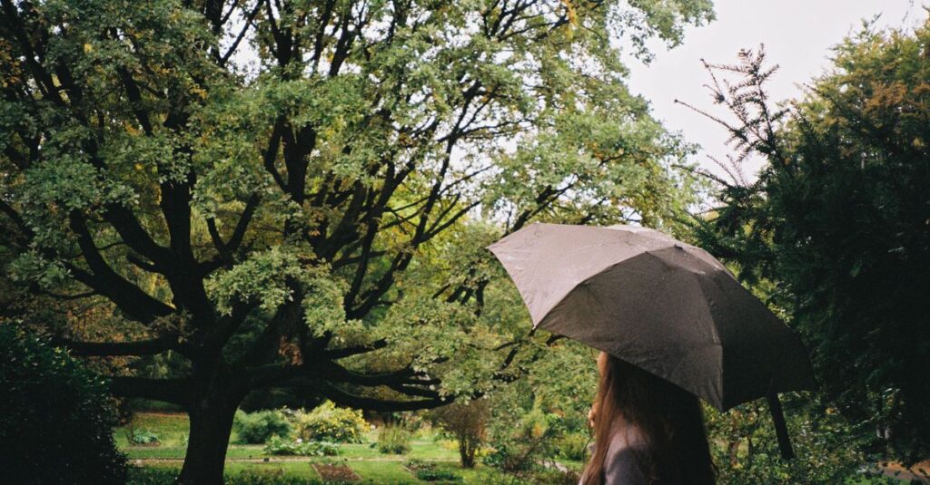 雨の東屋でふたりが静かに向き合う。言葉より先に、雨音が心を満たしていく。