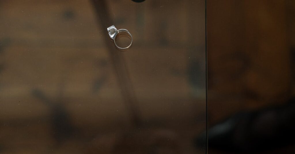 朝焼けを見つめるエルフ、限られた時間の尊さと今を生きる覚悟を表す場面