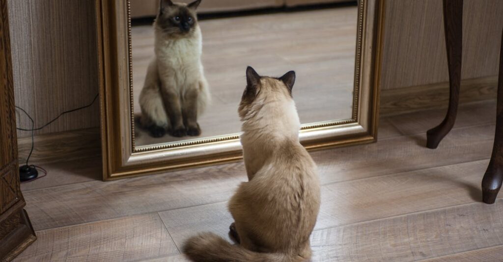 静かな場所で自分の心と向き合うアニメ風キャラクターのイメージ