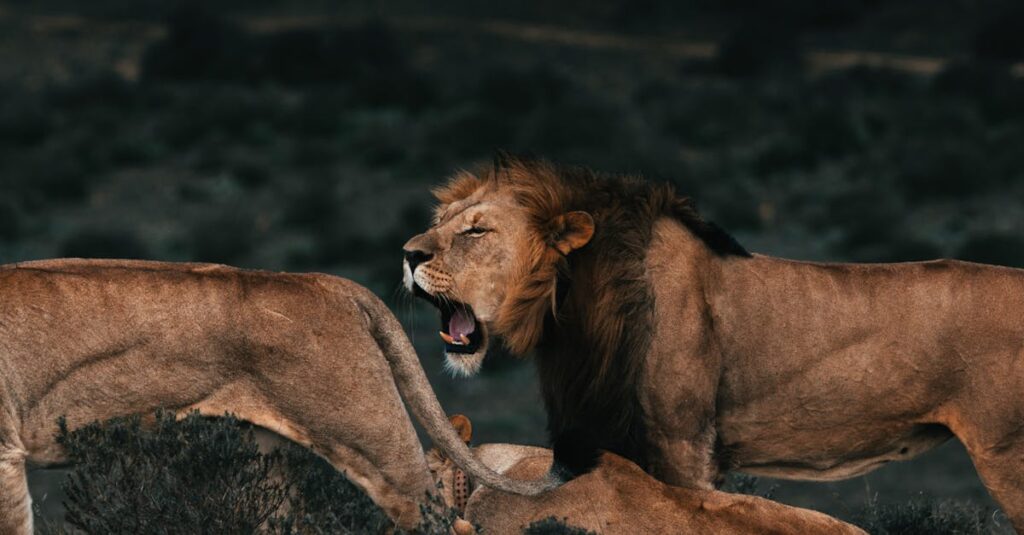 素直になることを恐れるアニメキャラクターの感情の葛藤