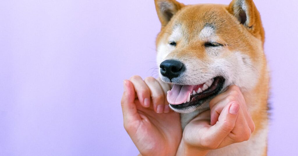 感情を抑え続けて苦しむアニメキャラクターの心情描写