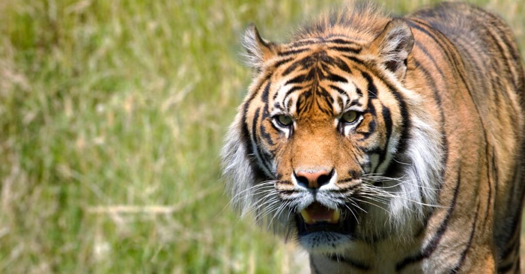 『CLANNAD』に描かれるアニメの中の家族の温かさとその関係性