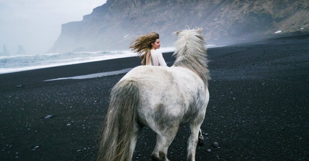 感情をコンパスに、自分の未来を見つめるアニメキャラクターのシルエット