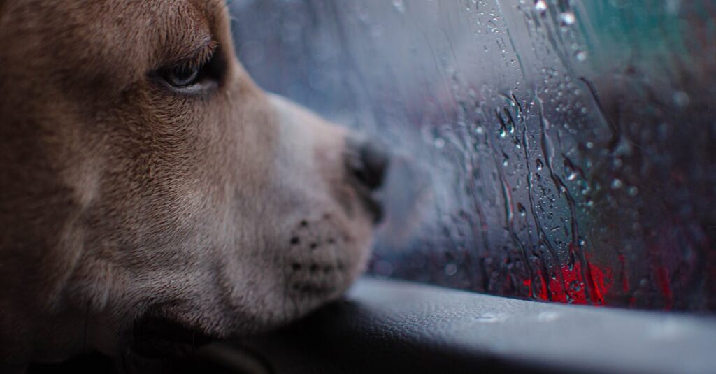 静かな雨の中で孤独と向き合うアニメキャラクターの情景。新海誠作品における雨の象徴的役割を表現する場面