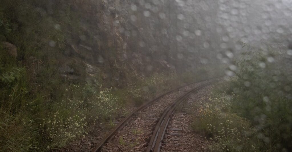 孤独を包み込む雨の中で美しさを感じるアニメの情景。静けさと感情の共鳴を描いた印象的な場面