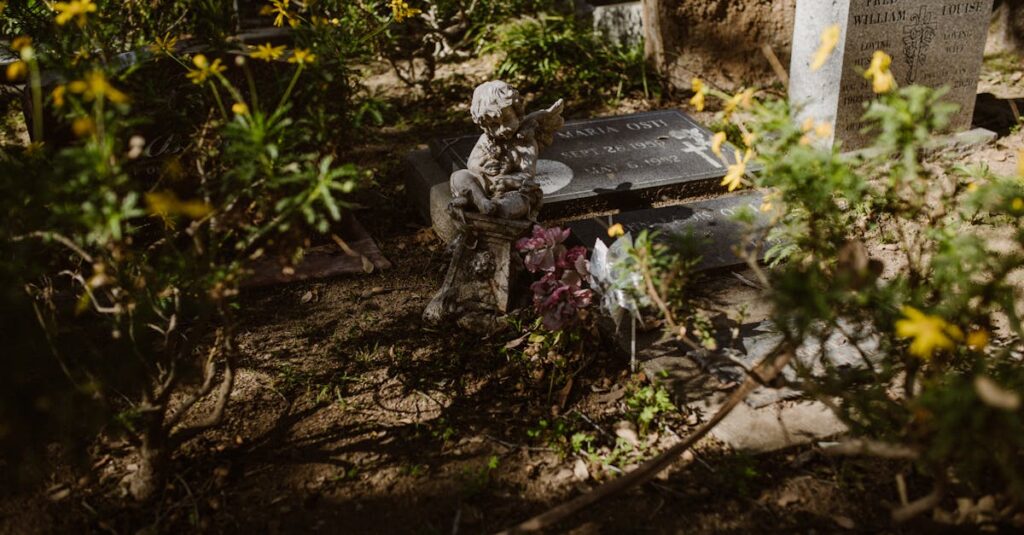 やわらかな光の中に置かれた花。失ってからはじめて、その大切さに気づくことがある。