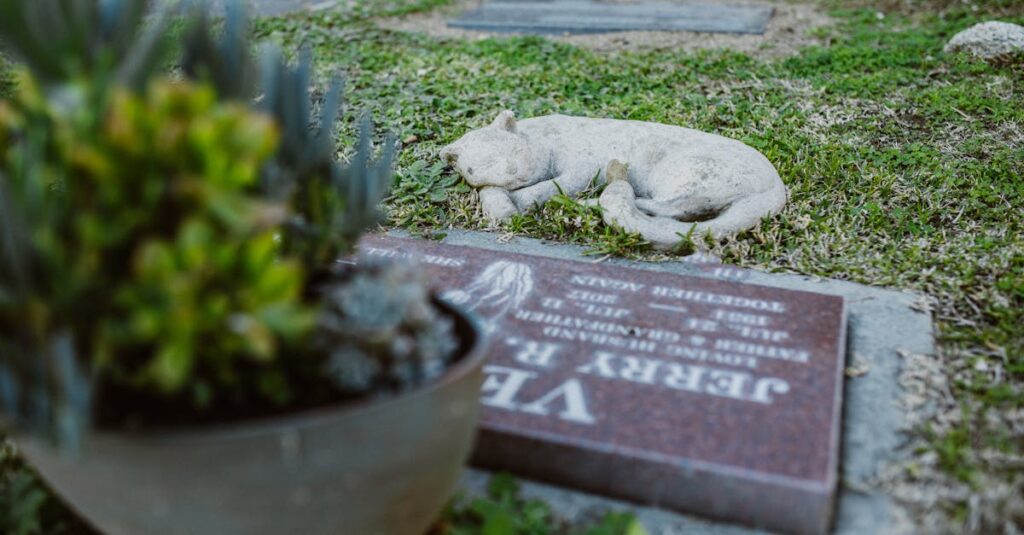 やわらかな光の中に置かれた花。はじめて悲しみを自覚した、その涙の意味。