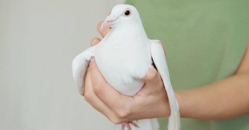 優しさと自己犠牲の間で揺れるアニメキャラ