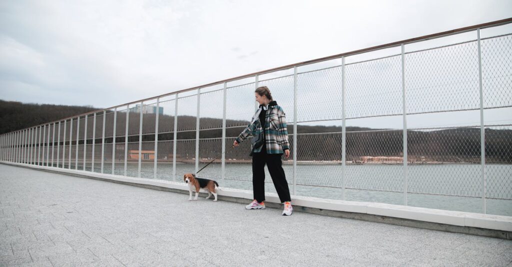 仲介役から一歩引いて決意するアニメキャラの姿