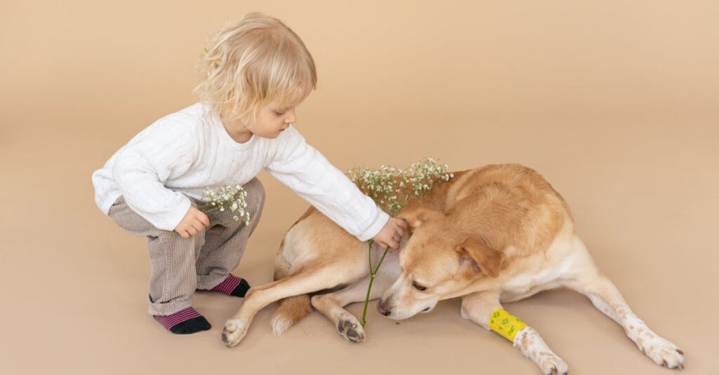 自分の幸せも他人の幸せも両立しようとするアニメキャラクターの表情