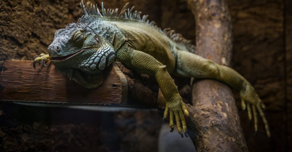 自分の人生に関わっていない感覚を抱えるアニメキャラクター