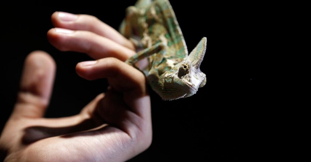 自分の人生に関わっていない感覚を抱えるアニメキャラクター