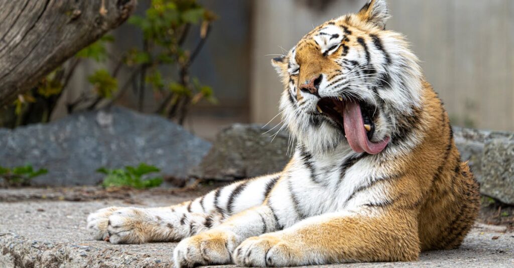 自分が無意識にラベルを受け入れていたことに気づくアニメキャラクター