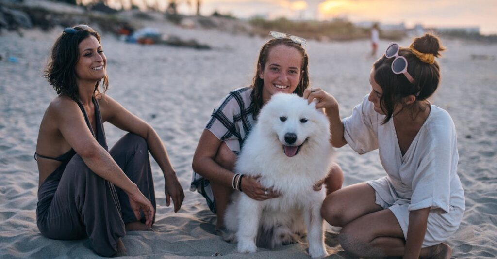 旅の仲間と感情を共有するエルフ、表情が少しずつ柔らかくなっていく様子