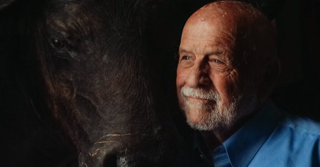 喪失を静かに受け止めるエルフの姿、感情の揺れと優しさが交差する瞬間