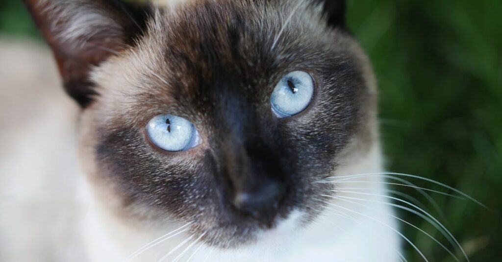 仲間との別れを経てひとり旅を続けるフリーレンのような魔法使いのイメージ