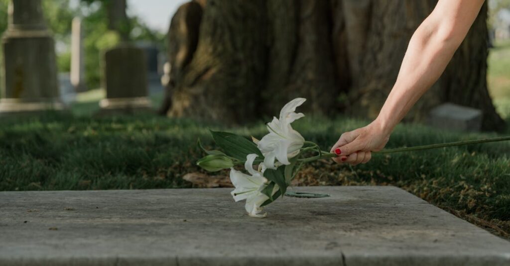 やわらかな光の中に置かれた花。はじめて悲しみを自覚した、その涙の意味。