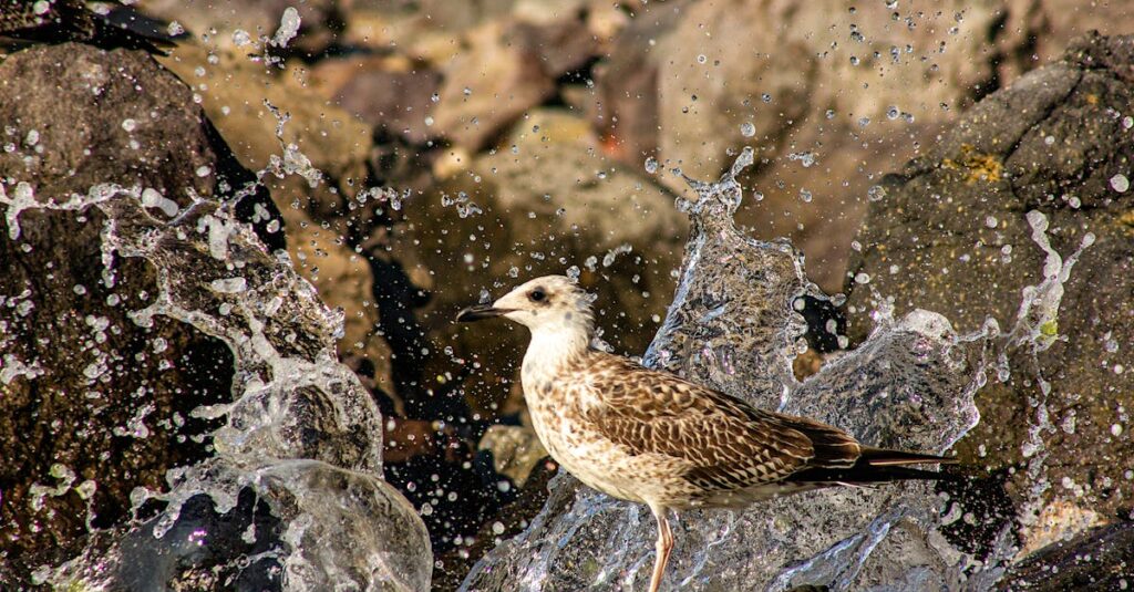 これまでの自分を乗り越えようとするアニメキャラクターの挑戦