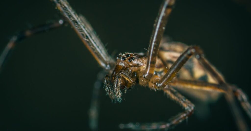 恋心を伝えることへの恐怖に悩むアニメキャラクターの表情