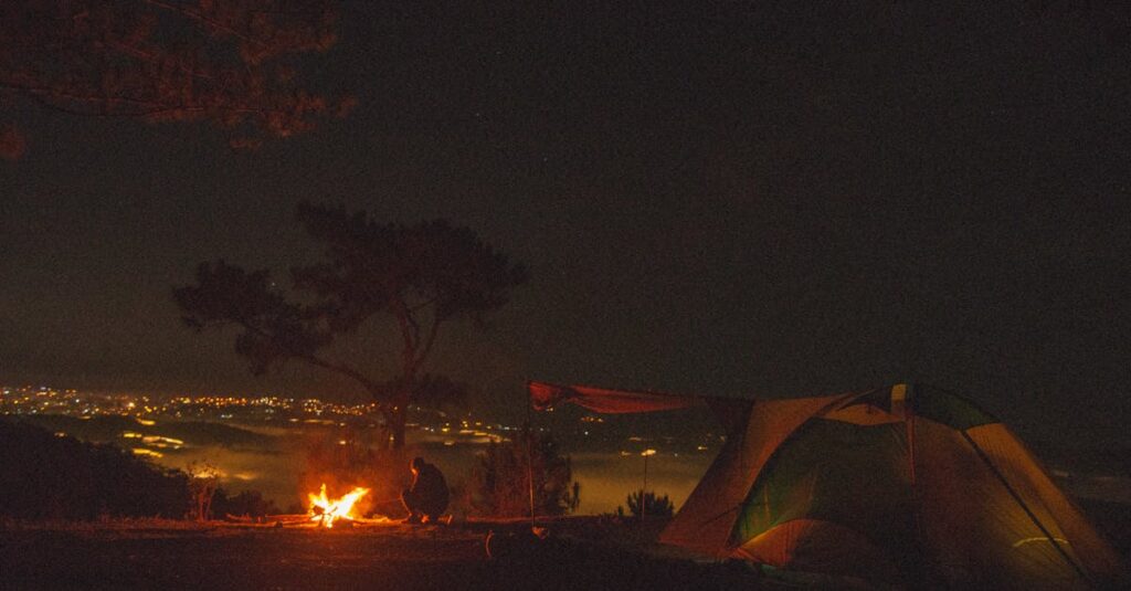 夜の焚き火と静かな自然、ゆるやかな癒しのイメージ
