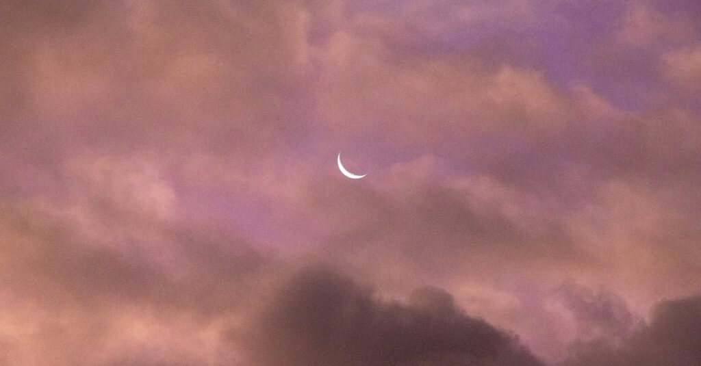 太陽と月と星々がやさしく輝く幻想的な夜空。光と静けさが共にある世界のイメージ。