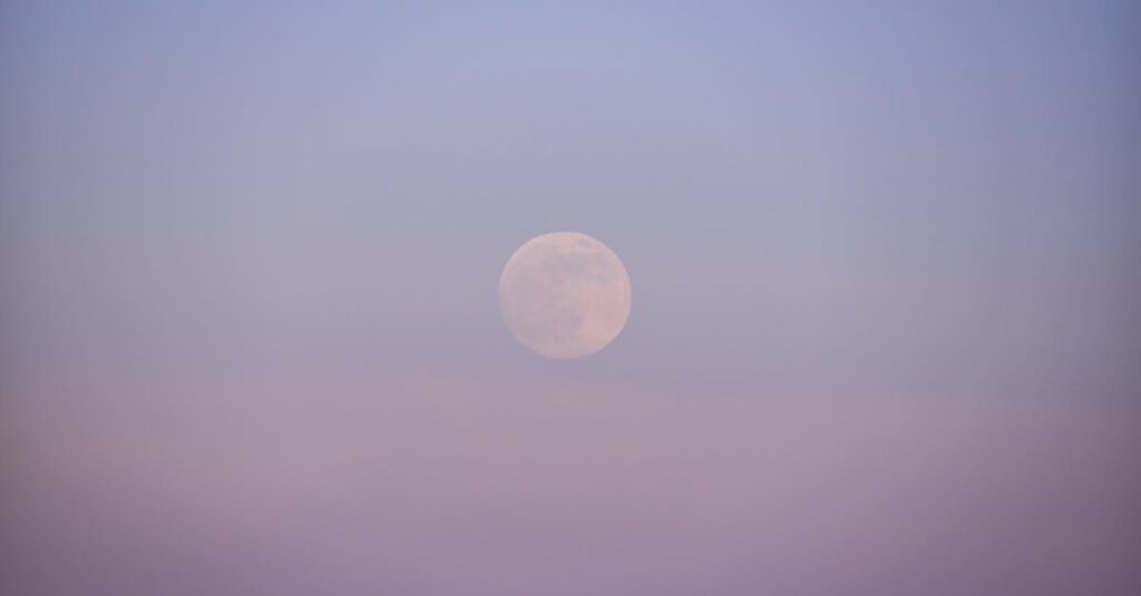 同じ空に静かに共存する太陽と月。互いを感じながら、世界を回している。