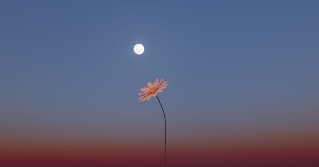 やわらかな光の中に共に輝く太陽と月。光と静けさが補い合うとき、世界は循環していく。