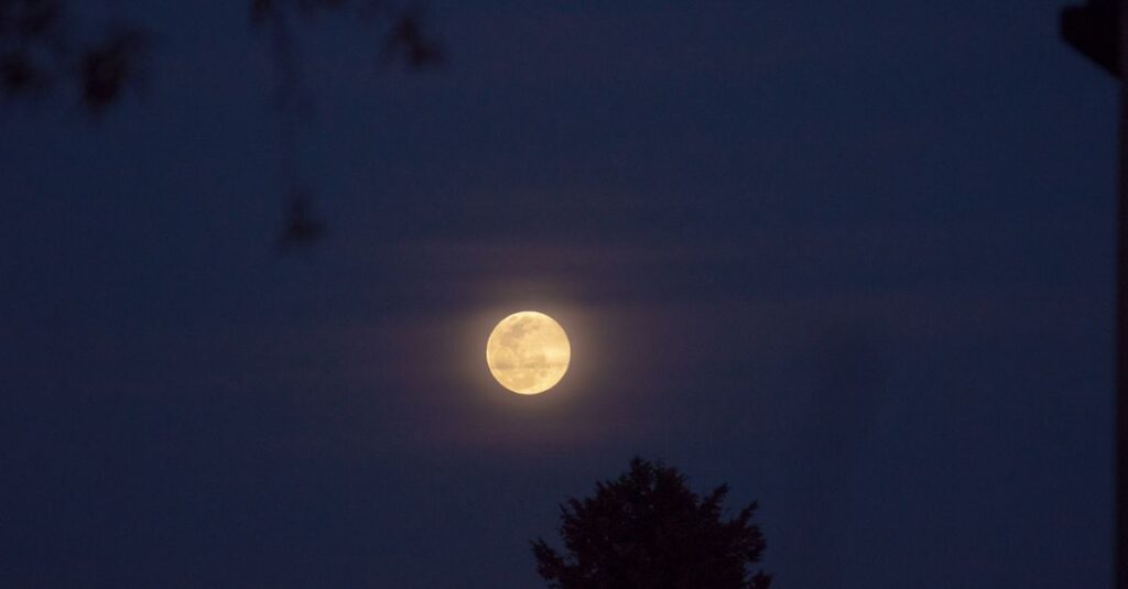 やわらかな月明かりが静かに降り注ぐ夜。何もしなくていい、ただ休んでいい時間。