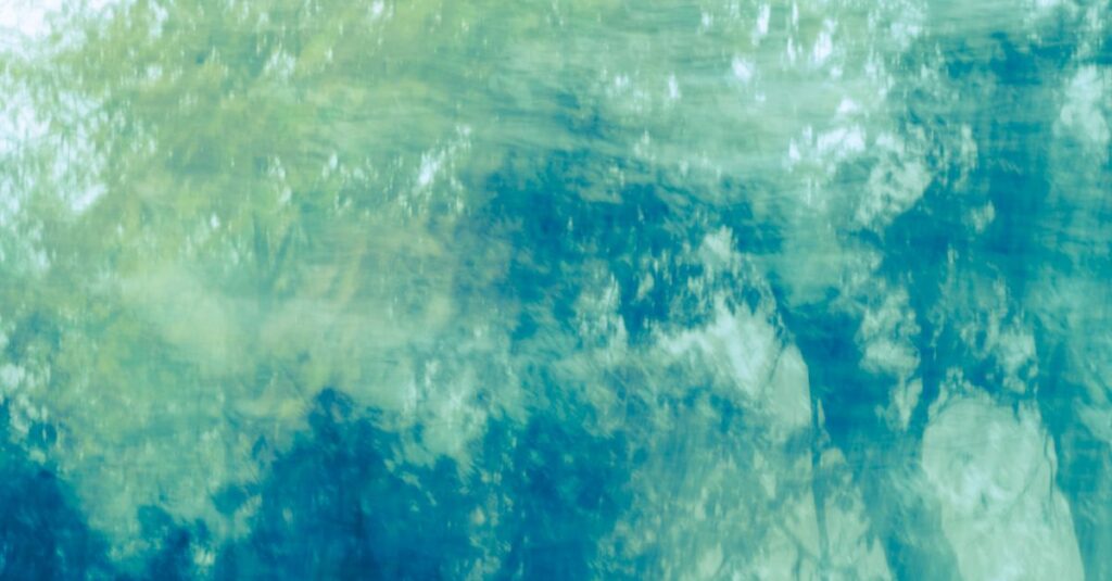 やわらかな光・月・水・森。4つの色がそれぞれ、今の心の状態を静かに映し出している。