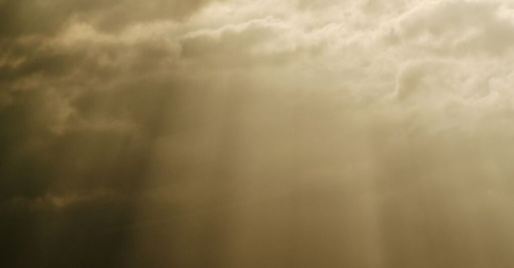 タロット《太陽》をイメージした、やわらかな金色の光。純粋な喜びと自己表現の象徴。