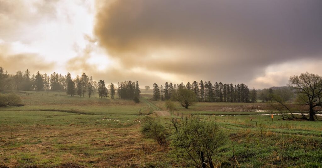 夜明けの空に太陽と月が共に輝く。頑張る自分と休む自分、どちらも大切にしていい。