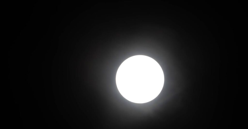 月明かりの下で静かに佇む女性。その存在が、相手の光をやわらかく映し返している。