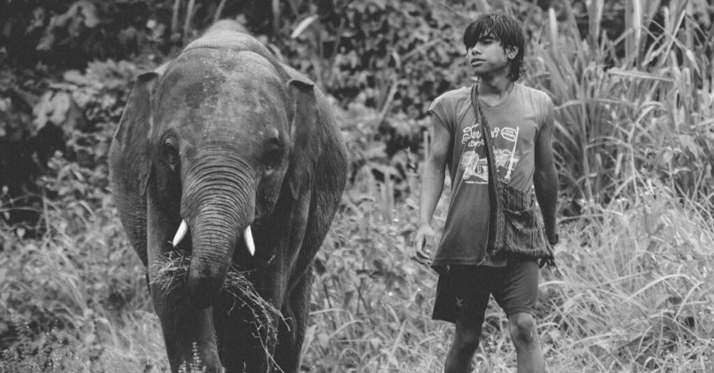 決意を胸に歩き続けるアニメ風キャラクターのイメージ