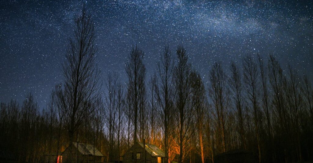 静かな夜空に広がる星々。内なる知恵と安らぎが、やわらかく灯っている。