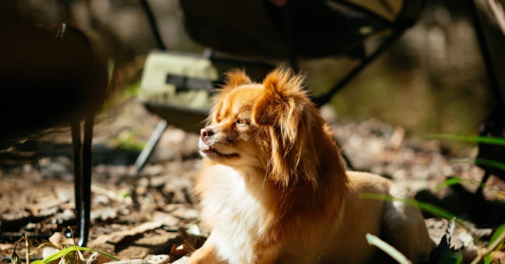 静かで穏やかな時間を過ごすアニメの風景のイメージ