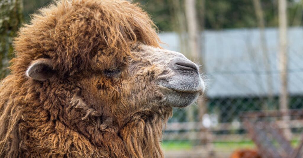 隣に寄り添うアニメの情景